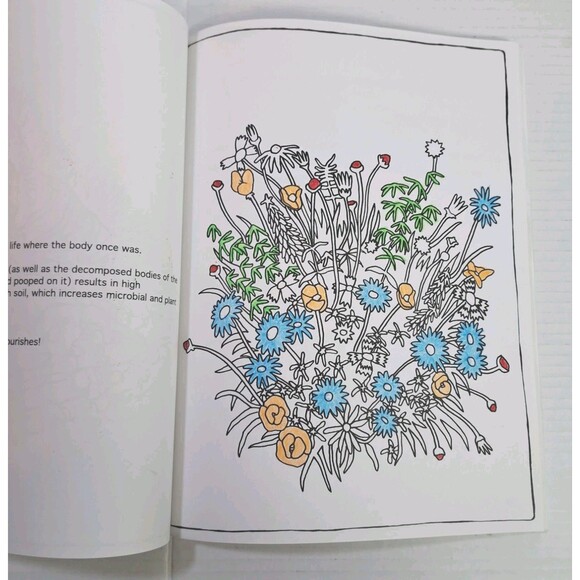 Everything Dies! A Coloring Book About Life! Adult Activity Unique Rare READ - Picture 4 of 4